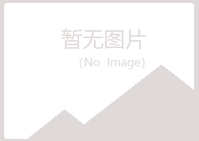 榆林女孩邮政有限公司